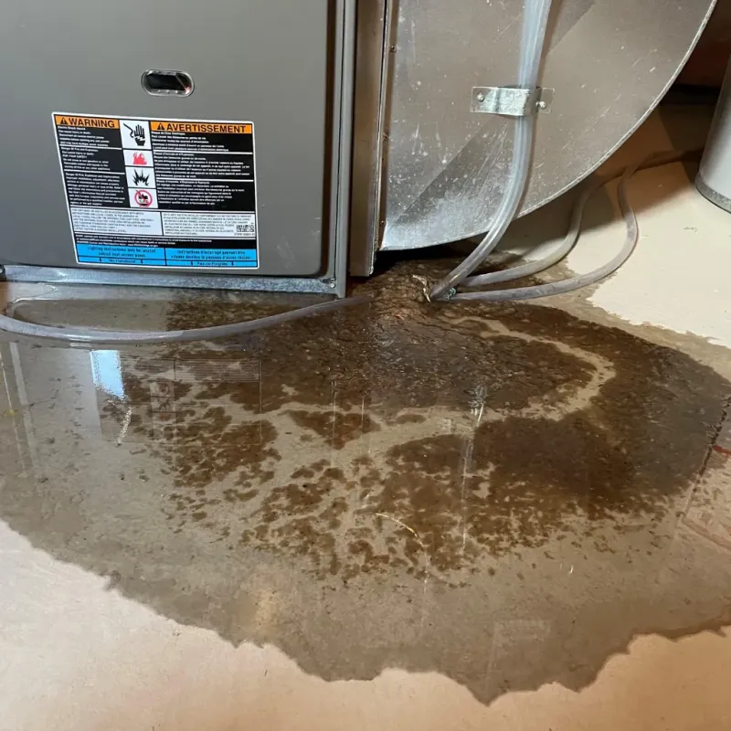 Appliance Leak Cleanup in Pitt County, NC