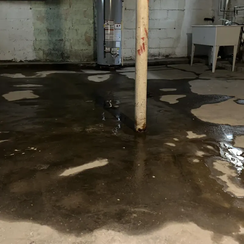 Emergency Water Extraction And Removal in Pitt County, NC